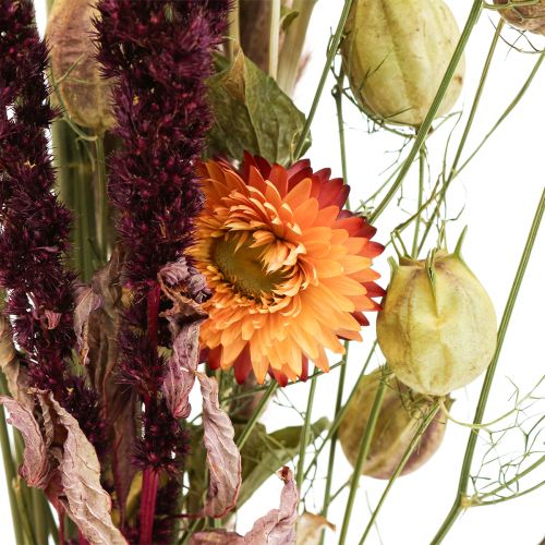 Floristik24 Bouquet of dried flowers straw flowers orange purple 55cm 70g