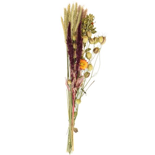 Floristik24 Bouquet of dried flowers straw flowers orange purple 55cm 70g