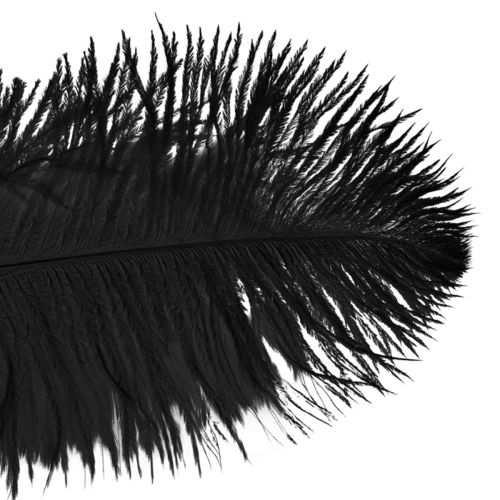 Product Decorative Ostrich Feathers Black Feathers 38-40cm 2 pcs