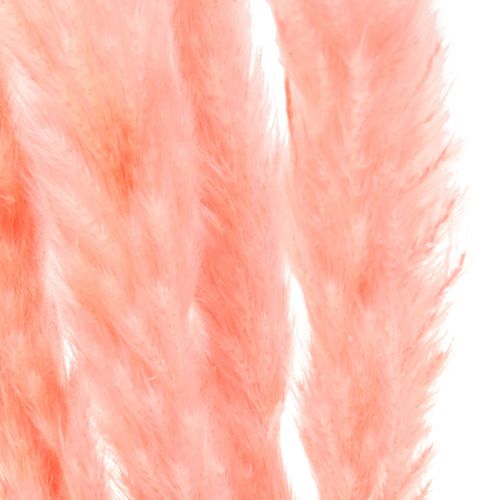 Product Pampas grass decoration, dried pampas grass pink 72cm 6 pcs