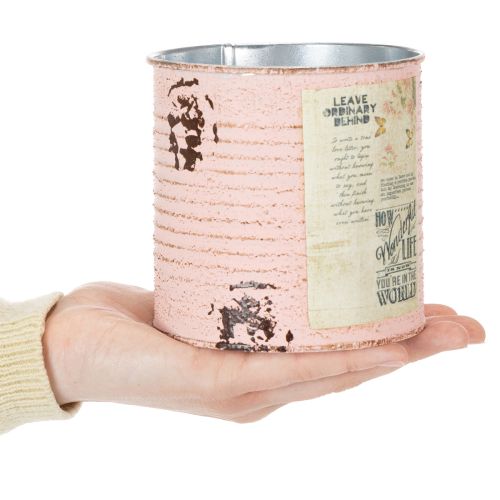 Product Flower pot decorative can salmon metal summer decoration Ø11cm H10.5cm