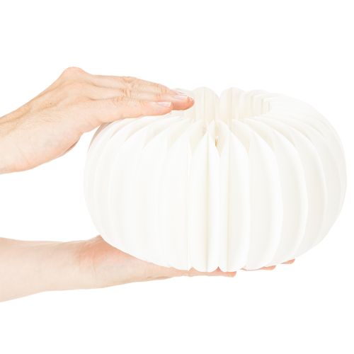 Honeycomb paper ring pumpkin round large for dried flowers and autumn decoration 24cm 4pcs | Floristik24.ie