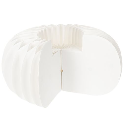 Honeycomb paper ring pumpkin round large for dried flowers and autumn decoration 24cm 4pcs | Floristik24.ie