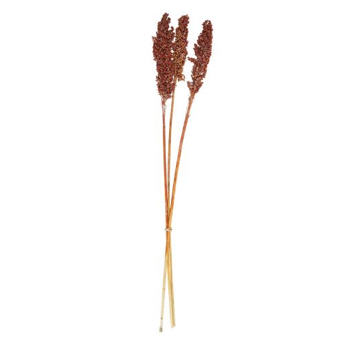 Dried Flowers Sorghum Millet Orange Dry Flowers 70cm 3pcs