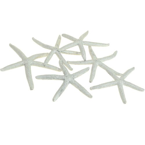 Floristik24 Starfish Silver Maritime Decoration Starfish Summer Decoration 7.5cm 10 pcs