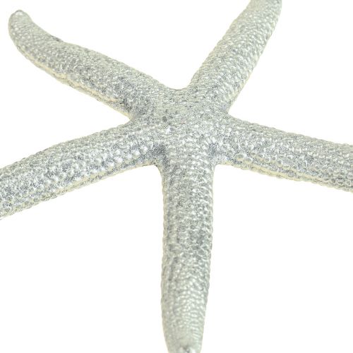 Floristik24 Starfish Silver Maritime Decoration Starfish Summer Decoration 7.5cm 10 pcs