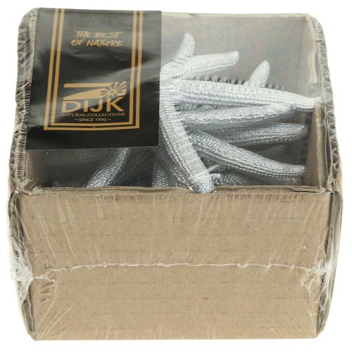 Floristik24 Starfish Silver Maritime Decoration Starfish Summer Decoration 7.5cm 10 pcs