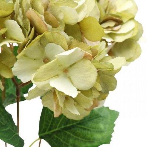 Floristik24 Hydrangea bouquet artificial green, brown 5 flowers 48cm