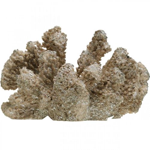 Floristik24 Maritime decoration, sea animal, decoration coral polyresin 13.5x11.5cm