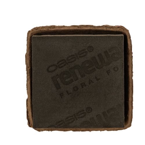 Floral foam 1/2 brick OASIS® Renewal® Floral Foam Biolit® 12cm 2S buy online | Floristik24.ie