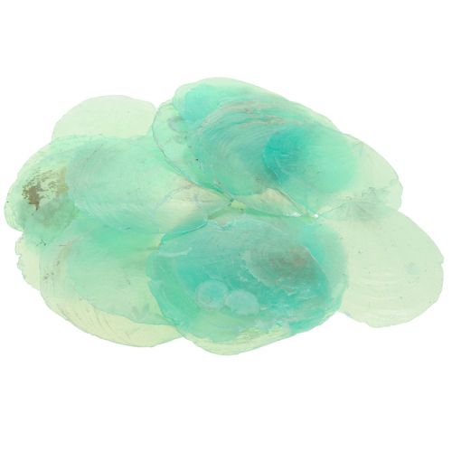 Capiz shells, capiz discs, mother-of-pearl discs turquoise 6.5–9.5cm 650g