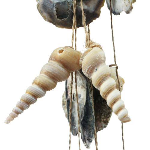 Floristik24 Maritime wind chime snail shell decoration shells 58cm