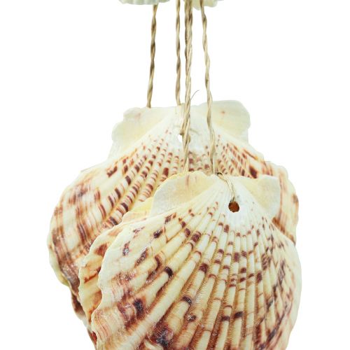 Floristik24 Maritime hanging decoration shells Maritime wind chime 74cm