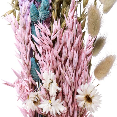 Floristik24 Dried flower bouquet straw flowers Phalaris grain 58cm