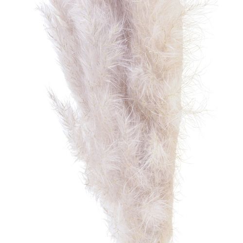 Floristik24 Pampas grass decoration dried natural dry floristry 100cm