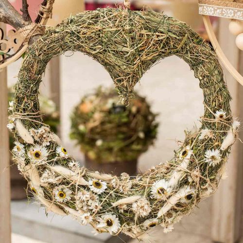 Floristik24 Acroclinium White, dried plants, straw flowers, dried floristry L20–40cm 25g