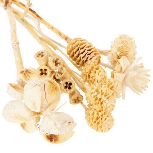 Product Africa range, bleached, 60 pieces