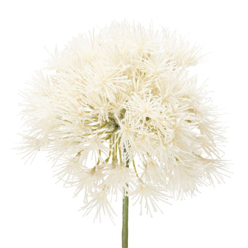 Floristik24 Allium artificial flower, delicate design for indoor use, 68cm