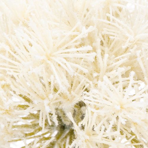 Product Allium artificial flower, delicate design for indoor use, 68cm