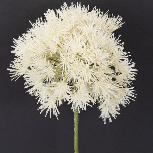 Product Allium artificial flower, delicate design for indoor use, 68cm