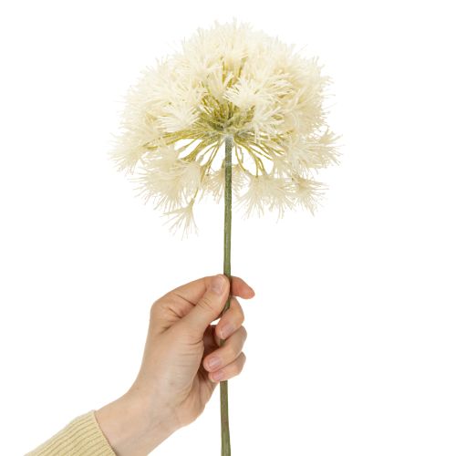 Product Allium artificial flower, delicate design for indoor use, 68cm