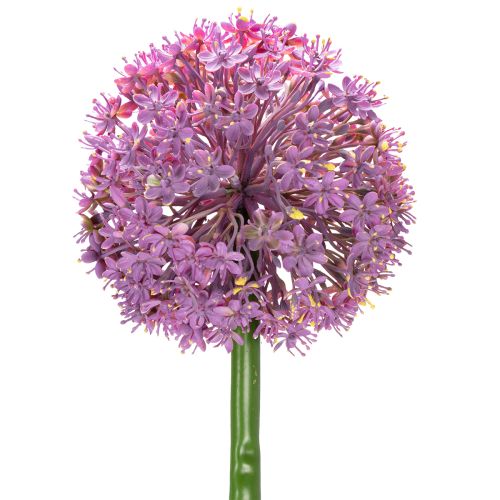Floristik24 Artificial Allium flower, ornamental onion, elegant room decoration, 90cm