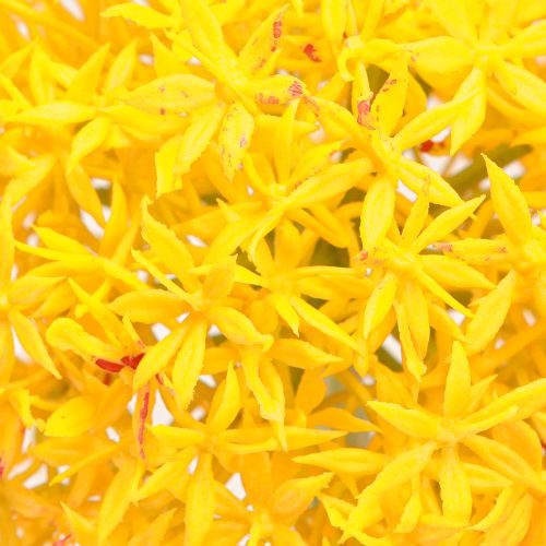 Product Allium Yellow Flower Ornamental Onion Artificial 80cm Ø14.5cm 2pcs