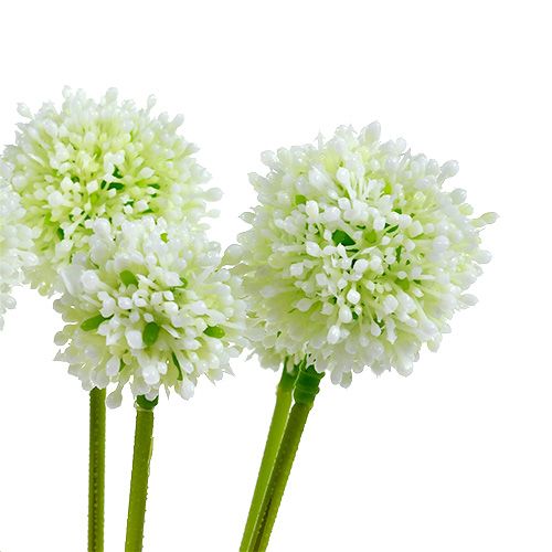 Floristik24 Allium 35cm white 6pcs