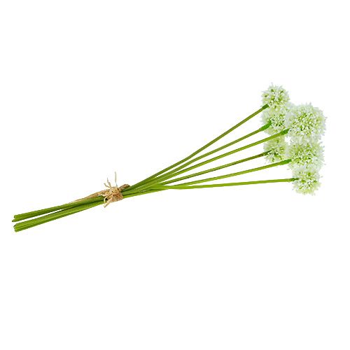 Floristik24 Allium 35cm white 6pcs