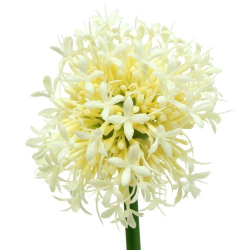 Floristik24 Ornamental onion Allium artificial white 51cm 4pcs