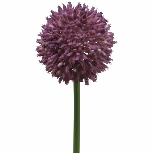 Floristik24 Ornamental allium artificial lilac Ø8cm 58cm