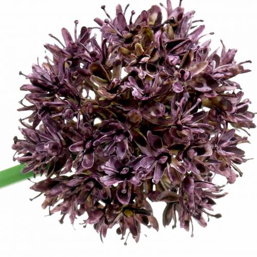 Product Ornamental onion Allium artificial purple Ø7cm H58cm 4pcs