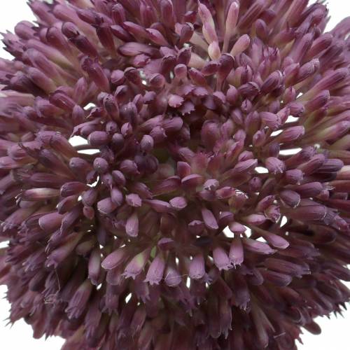 Floristik24 Ornamental allium artificial lilac Ø12cm 65cm