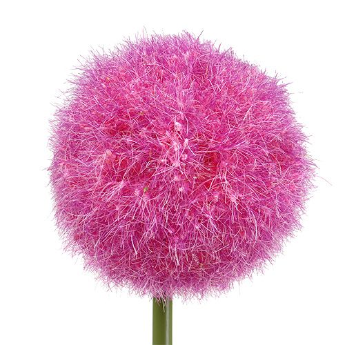 Floristik24 Allium 68cm pink-purple