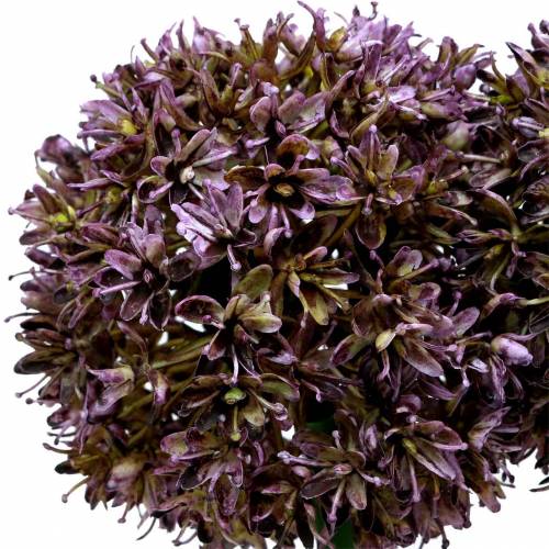 Product Ornamental onion Allium artificial lilac 70cm 3pcs