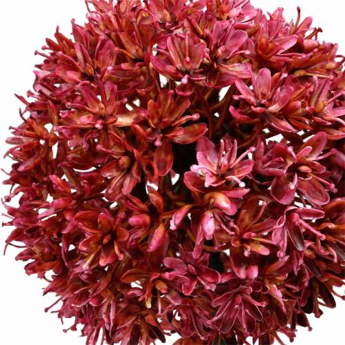 Floristik24 Ornamental onion Allium artificial mauve Ø9cm H70cm 3pcs
