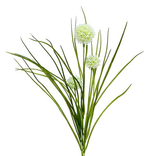 Floristik24 Allium cream with grass 65cm 3pcs