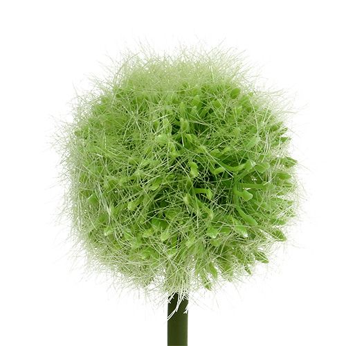 Product Allium green L37.5cm 4pcs