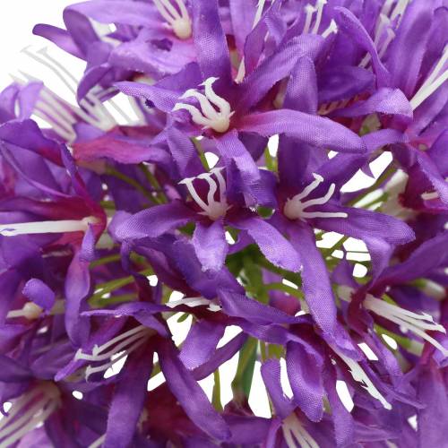 Floristik24 Ornamental allium artificial purple Ø12cm H62cm
