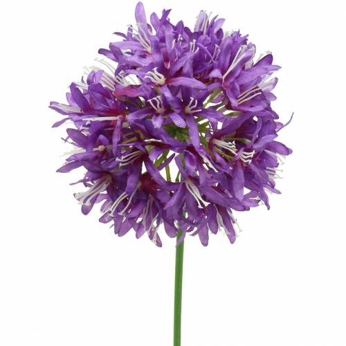 Ornamental allium artificial purple Ø12cm H62cm