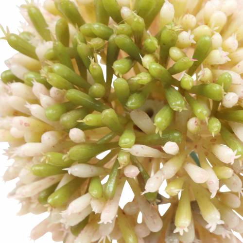 Product Ornamental onion Allium artificial pink / green Ø8cm 58cm