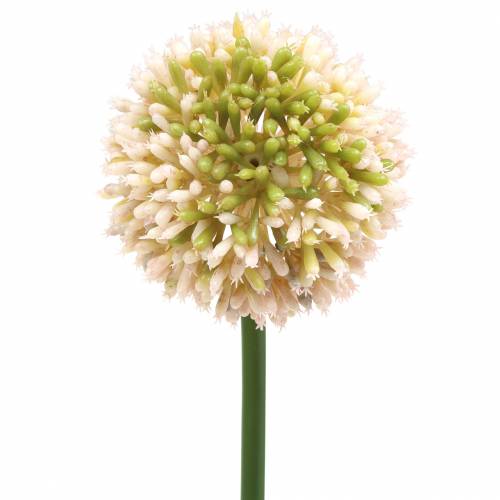 Ornamental onion Allium artificial pink / green Ø8cm 58cm