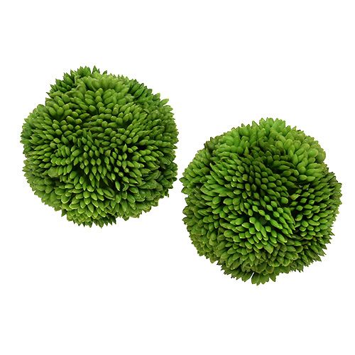 Floristik24 Allium ball 5cm green 4pcs