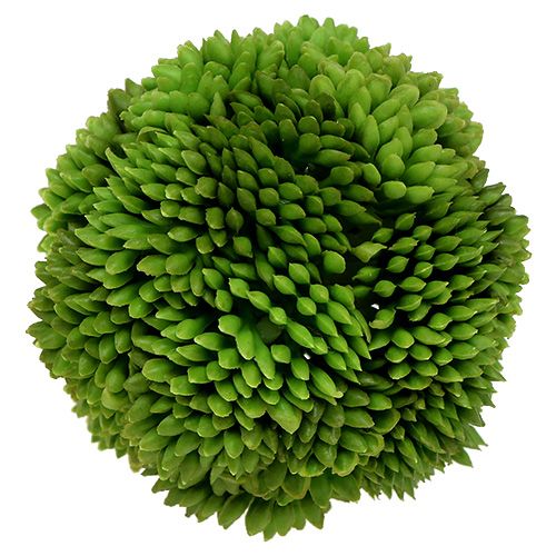 Floristik24 Allium ball 5cm green 4pcs