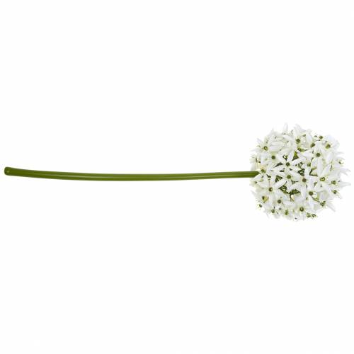 Product Decorative flower Allium, artificial ball leek, ornamental onion white Ø20cm L72cm