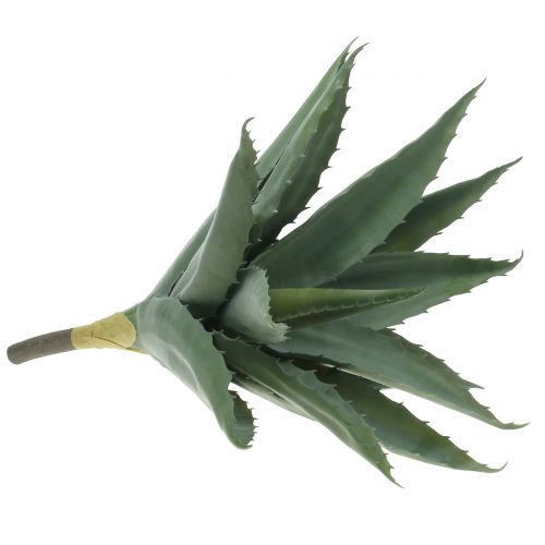 Floristik24 Aloe branch artificial green 47cm