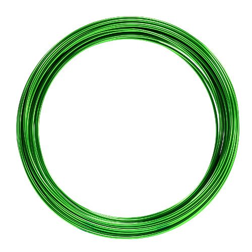 Product Aluminum wire 2mm 100g apple green