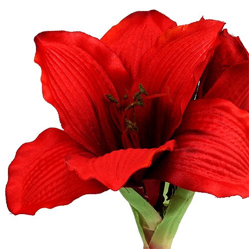 Floristik24 Amaryllis red L 68cm 1p