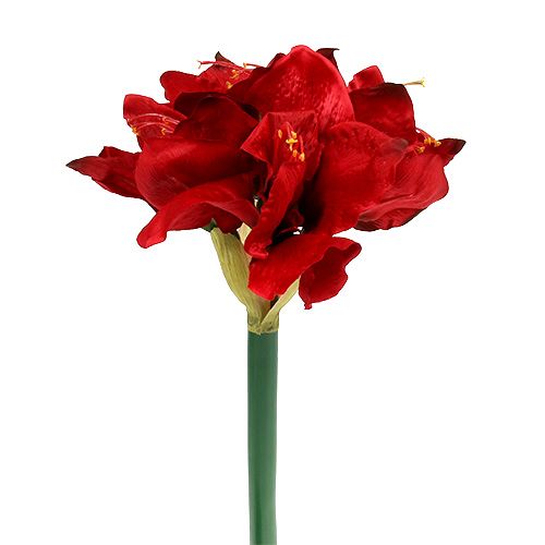 Floristik24 Amaryllis red L 73cm 2pcs