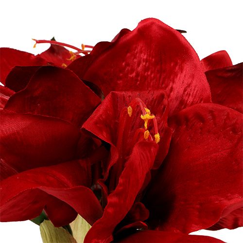 Floristik24 Amaryllis red L 73cm 2pcs